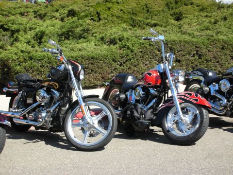 1998 Ford Crown Victoria - Two custom motorcycles, one black and one red with flames, are parked next to each other on a sunny day.