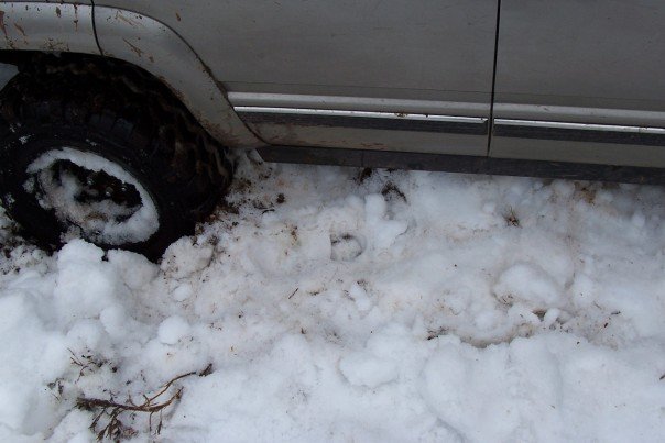 Close-up of a vehicle tire partially buried in snow and mud