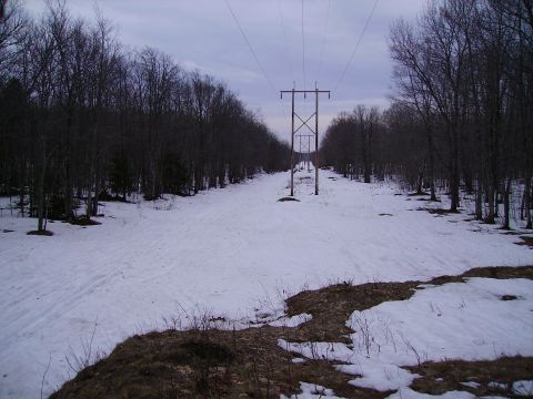 2000 Chevrolet Tahoe - Winter scene with power lines stretching through a snow-covered forest.