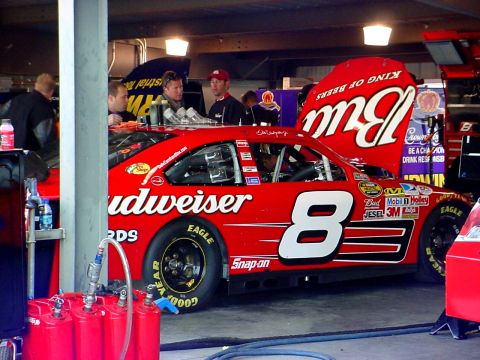 1993 Ford Mustang - A red Budweiser stock car, number 8, is parked in the pit area with its hood open.