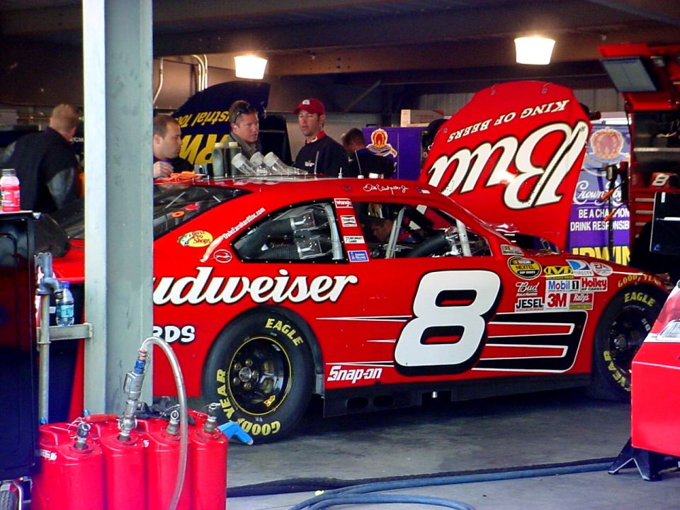 Red Budweiser race car with number 8, side view