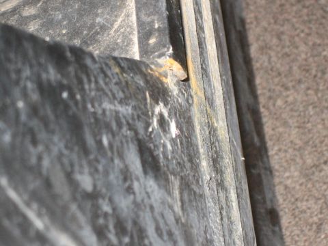 1995 Ford Bronco - A close-up view shows a rusted metal edge on a dark, textured surface, possibly part of a vehicle's undercarriage or frame.