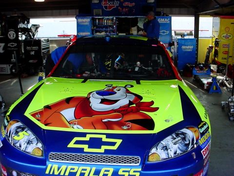 1993 Ford Mustang - A race car with a cartoon tiger graphic and 'Impala SS' branding is parked in a garage bay.