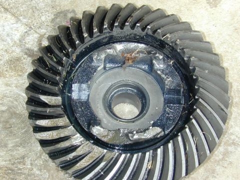 1996 Ford Bronco - This is a close-up view of a differential gear, showing its intricate teeth and mounting hub.