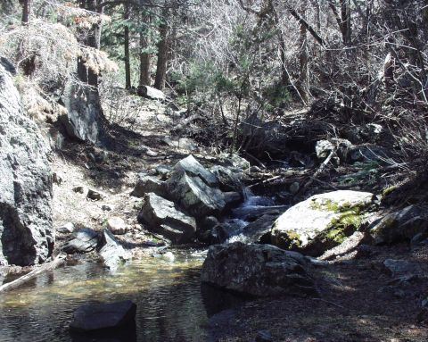 1997 Ford F-250 - A woodland scene with a shallow stream meandering through rocks and trees under a bright sky.