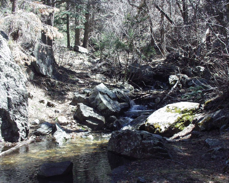 Forest stream with rocks and trees, water flowing over stones. Text 'SUPERMOTORS' visible