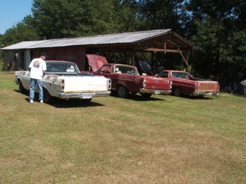 1966 Ford Ranchero - Three Ford Rancheros from the mid-1960s are parked in a grassy area near a barn.