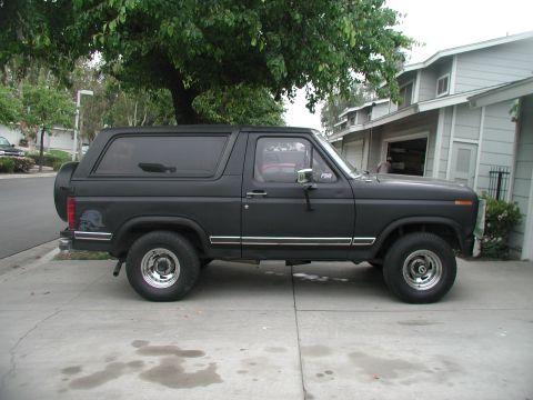 1981 Ford Bronco - flat side