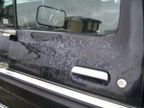 1979 Ford F-250 - The paint on this 1979 Ford F-250's door is significantly deteriorated, with a chrome handle visible.