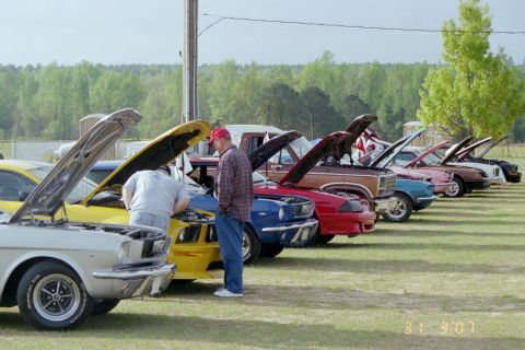 1976 Ford Ranchero - Cars on display with their hoods open at an outdoor event.
