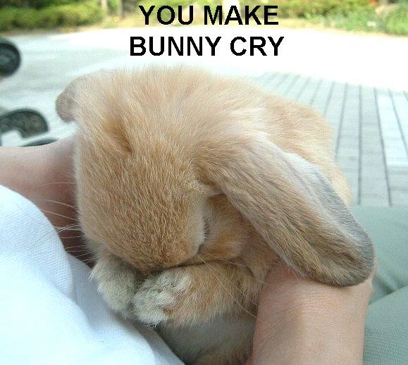 Bunny covering its face with its paws while being held by a person