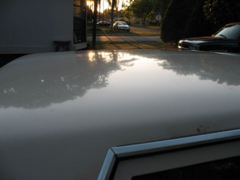 1985 Ford LTD Crown Victoria - The sun sets, casting reflections on the hood of a car.
