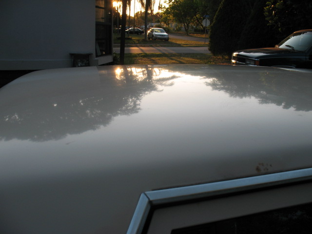 Reflection of trees and sky on a car hood. Another car is visible in the background