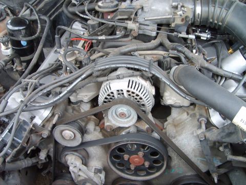 1993 Ford Crown Victoria - Engine bay detail with alternator and drive belts visible.