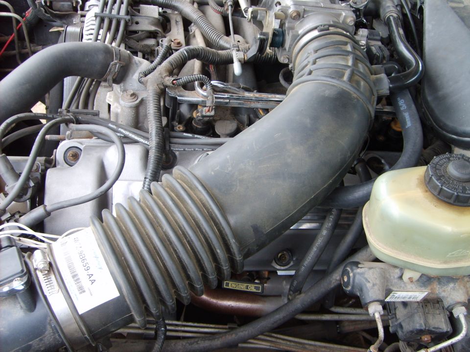 Engine bay with air intake hose, hoses, and engine oil label
