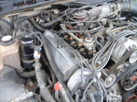 1993 Ford Crown Victoria - The engine bay of a 1993 Ford Crown Victoria is visible, with the V8 engine components clearly depicted.