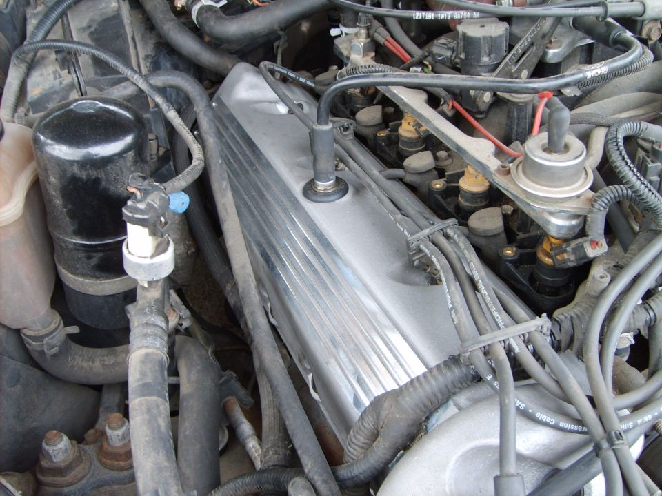 Engine bay with chrome valve cover and fuel injectors