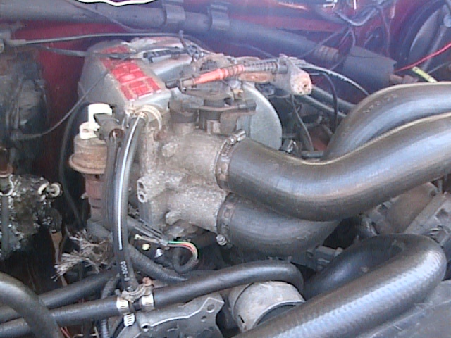Engine bay with hoses and engine components