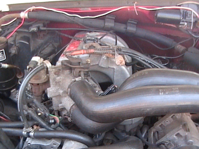 engine bay with hoses and wiring