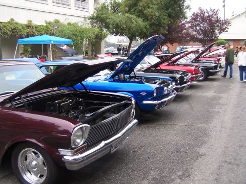 1990 Ford Bronco - Cars lined up with hoods open at an outdoor event, likely a car show.