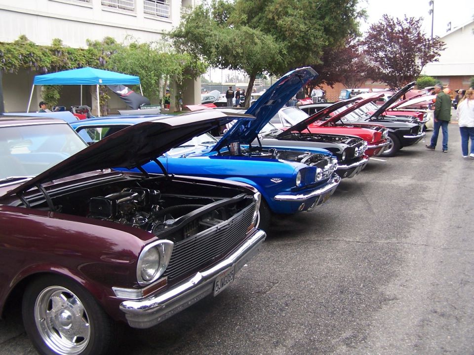 Several classic cars parked in a row, hoods up, at an outdoor car show