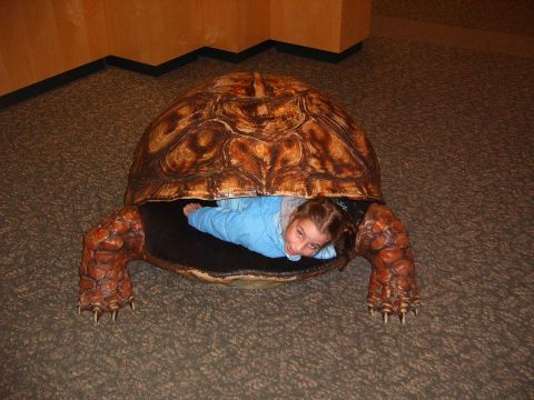 1993 Ford Bronco - A young girl lies inside a large, realistic turtle sculpture, looking towards the camera.