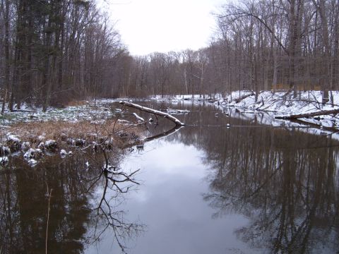 1993 Ford Bronco - A winter landscape shows a river flowing through a forest with snow on the banks and fallen trees.