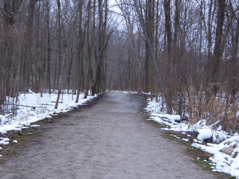 1993 Ford Bronco - A winter scene shows a path winding through a forest with snow-covered ground and leafless trees.