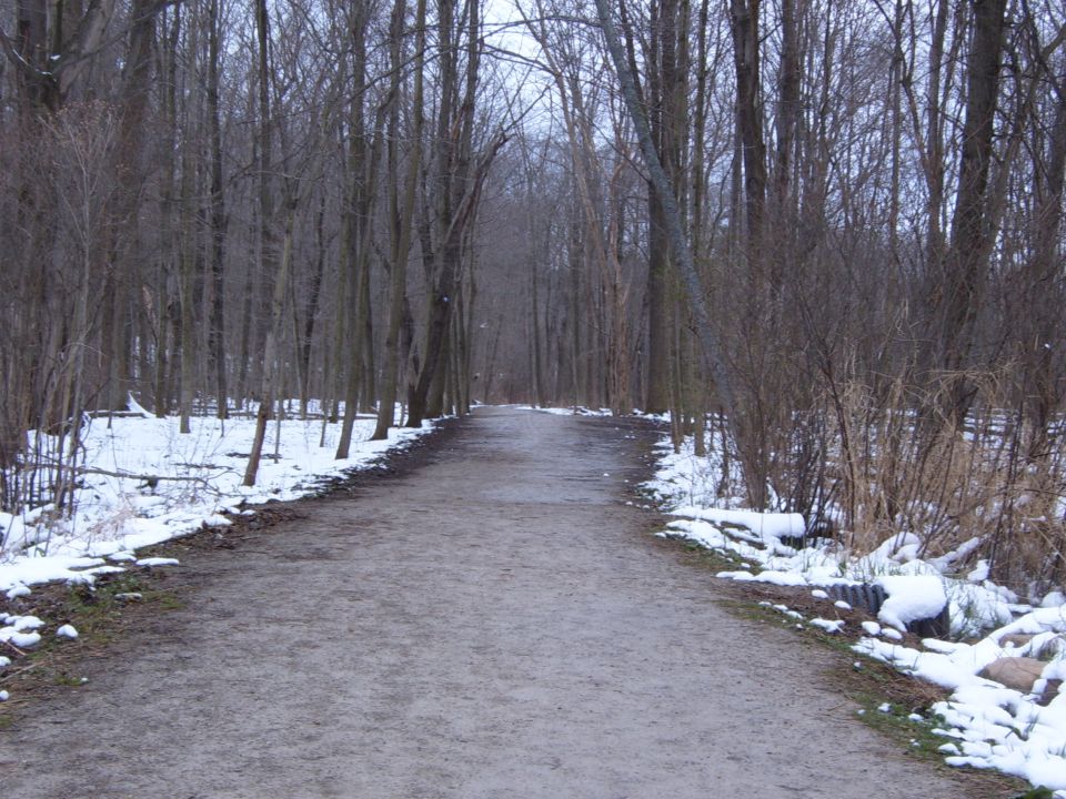 Gravel path through a forest with snow on the sides and bare trees