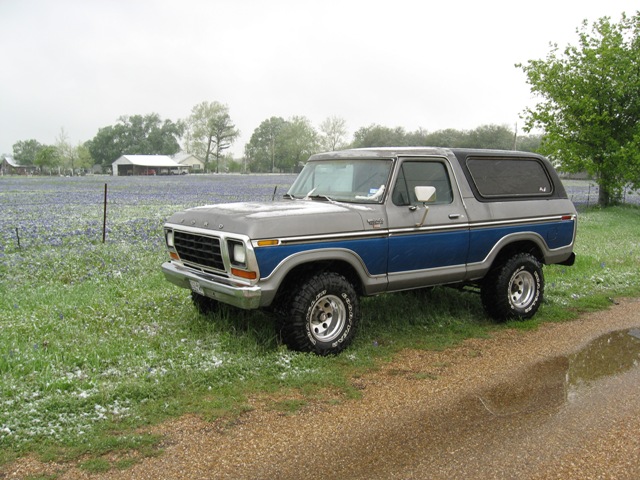 1979 Ford Bronco parked on a gravel road next to a field of bluebonnets