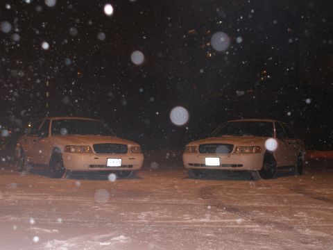2003 Ford Crown Victoria - Two white 2003 Ford Crown Victorias are parked side-by-side in a snowy lot during a snowfall.
