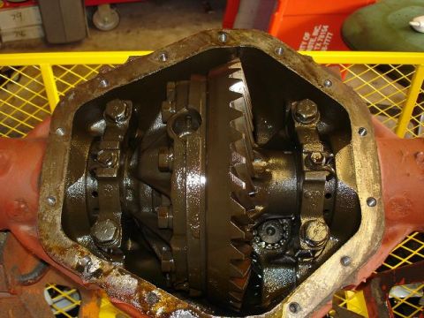 1986 Ford Bronco - reinstalled