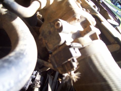 1989 Ford Bronco II - Close-up view of engine components and hoses, with a watermark for Supermotors.net visible.