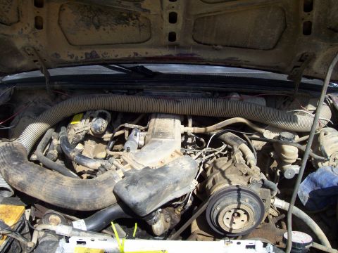 1989 Ford Bronco II - Engine bay view showing various components and hoses under the hood.