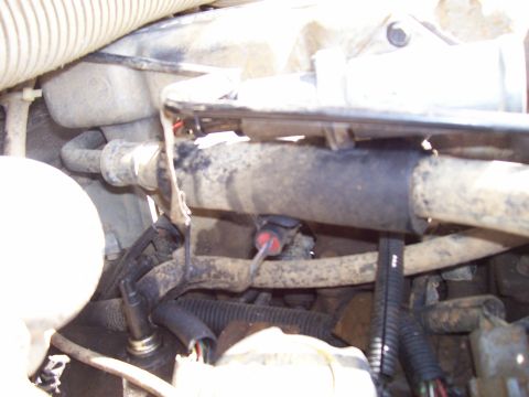 1989 Ford Bronco II - This image shows a section of an engine bay with various hoses and electrical connectors visible.