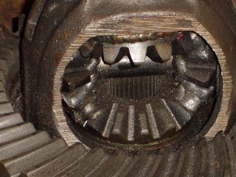 1989 Ford Bronco - This is a close-up view of the internal gears of a differential, showing wear on some of the teeth.