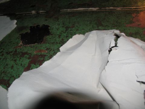 1995 Ford C-350 (Centurion Conversions) - The image shows a close-up of peeling white paint, exposing a textured green and brown surface beneath.