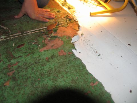 1995 Ford C-350 (Centurion Conversions) - A hand is shown pulling up old green carpet, revealing a white floor underneath, illuminated by a work light.