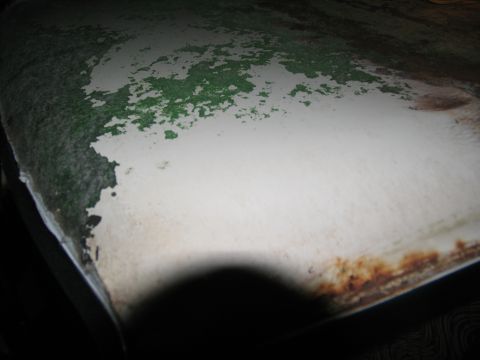 1995 Ford C-350 (Centurion Conversions) - The paint on this vehicle is severely deteriorated, showing patches of green primer and rust.