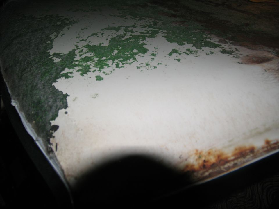 White vehicle hood with peeling green paint and rust spots