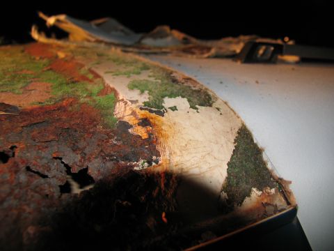 1995 Ford C-350 (Centurion Conversions) - Close-up view of heavily rusted metal with peeling paint and patches of moss, indicating significant wear and tear.