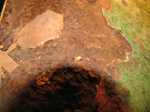 1995 Ford C-350 (Centurion Conversions) - The metal is severely corroded, with layers of rust and paint flaking off.