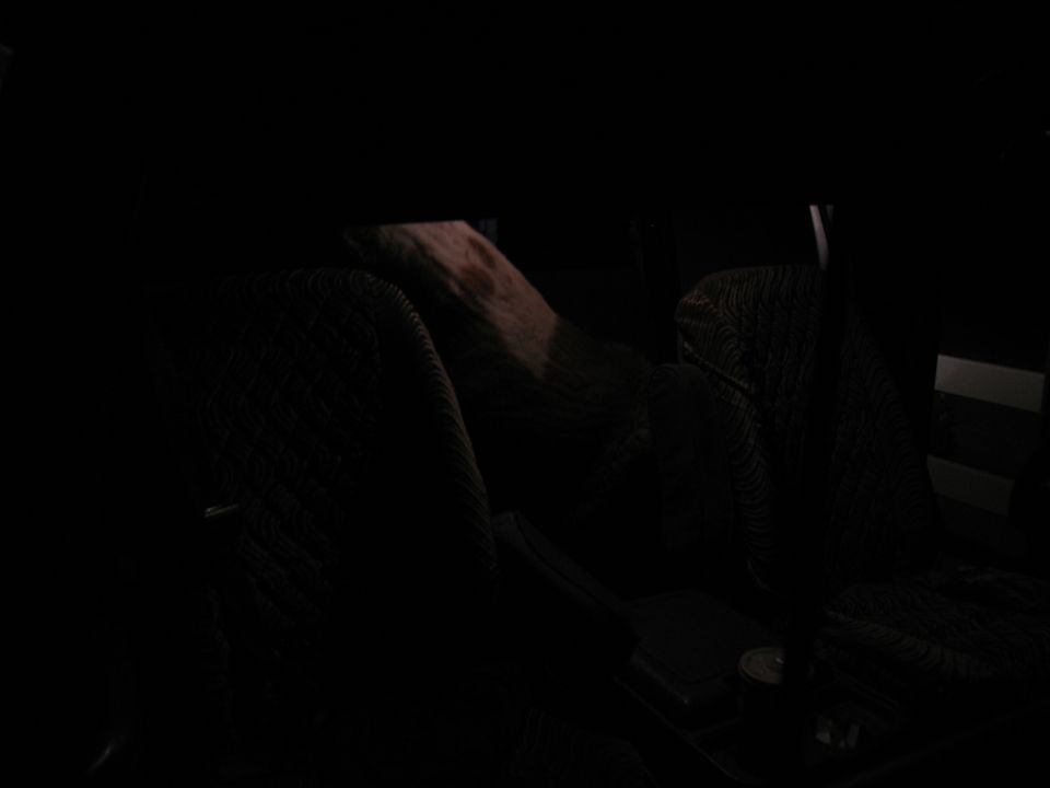 Interior view of dark patterned seats and dashboard