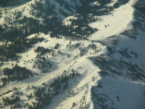 1995 Ford C-350 (Centurion Conversions) - A vast expanse of snow-covered mountains and evergreen trees under a bright sky.