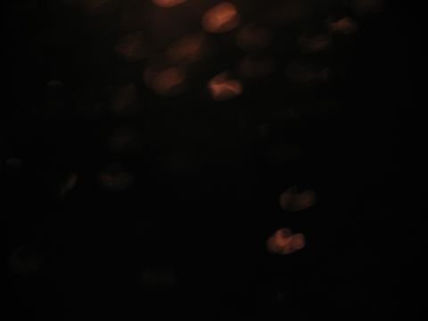 1995 Ford C-350 (Centurion Conversions) - Abstract bokeh lights create a moody, dark atmosphere.