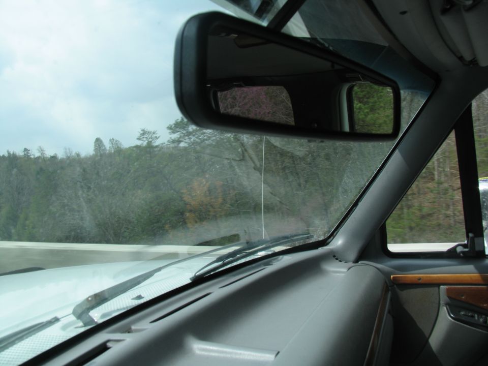 View from inside a vehicle, looking out the windshield at trees and sky. Rearview mirror is visible