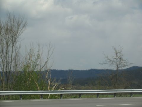 1995 Ford C-350 (Centurion Conversions) - A view of trees and hills from a moving vehicle on a cloudy day.