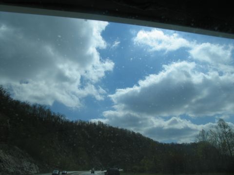1995 Ford C-350 (Centurion Conversions) - A view of the sky and trees from inside a vehicle, possibly on a highway.