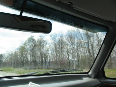 1995 Ford C-350 (Centurion Conversions) - View from inside a vehicle, looking out through the windshield at a wooded landscape.