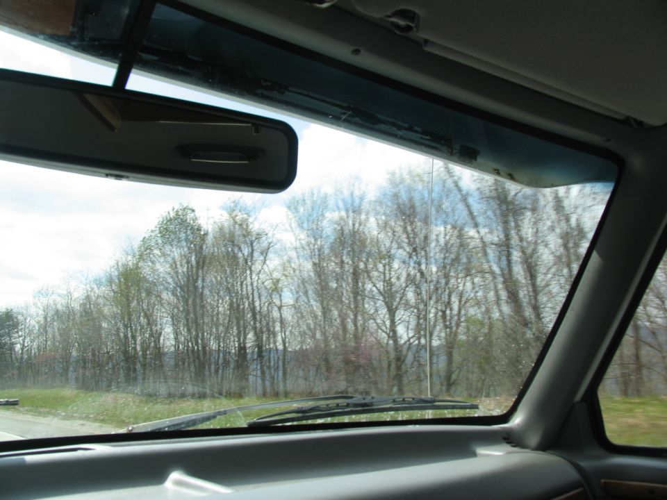 Interior view from driver's seat, looking through windshield at trees and sky
